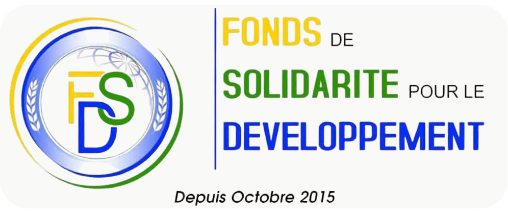FSD Logo